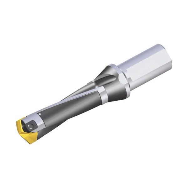 NTKカッティングツールズ TAEGUTEC 刃先交換式穴あけ用ホルダー スペードラッシュ LCD 350-359-40T2-3D 1本（直送品）