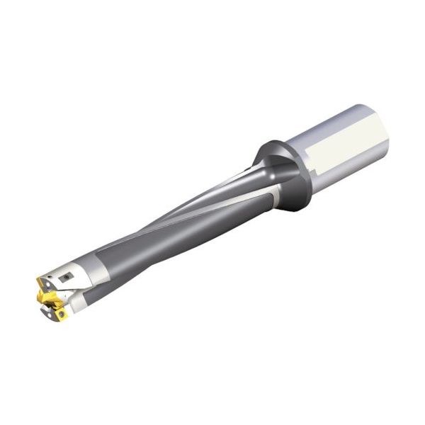 TAEGUTEC 刃先交換式ドリルホルダー モジュールドリル MDB D30/31-155-32T2-C30-5 1本（直送品）