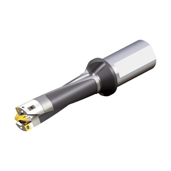 TAEGUTEC 刃先交換式ドリルホルダー モジュールドリル MDB D34/35-105-40T2-C34-3 1本（直送品）