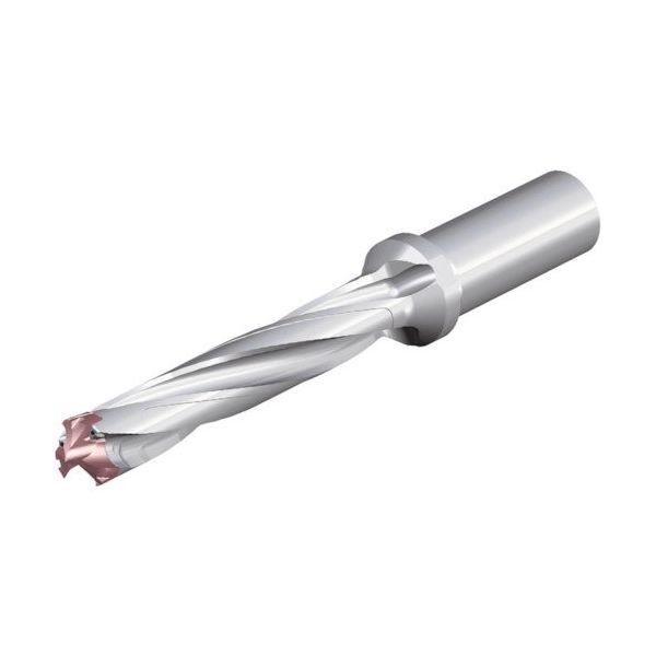 NTKカッティングツールズ TAEGUTEC 刃先交換式ドリルホルダー ドリルスフィード 3ED 180-189-25T0-5D 1本（直送品）