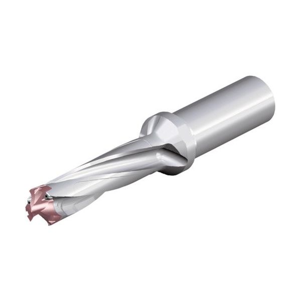 NTKカッティングツールズ TAEGUTEC 刃先交換式ドリルホルダー ドリルスフィード 3ED 200-209-25T0-3D 1本（直送品）