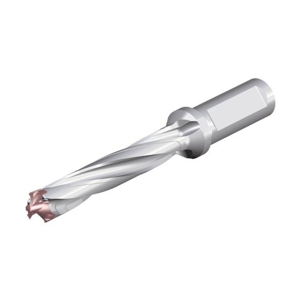 NTKカッティングツールズ TAEGUTEC 刃先交換式ドリルホルダー ドリルスフィード 3ED 200-209-25T2-5D 1本（直送品）