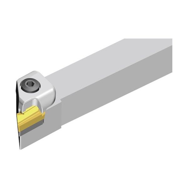 NTKカッティングツールズ TAEGUTEC Tーターン 外径加工用ホルダー(トップクランプ) CKJNR 3225 P16 1本（直送品）