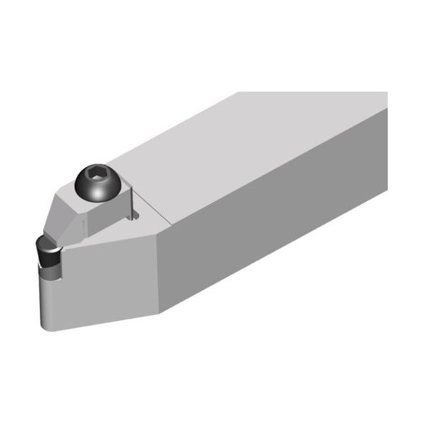 NTKカッティングツールズ TAEGUTEC テグターン 外径 CRDCN 3225 P12-120 1本 458-5035（直送品）