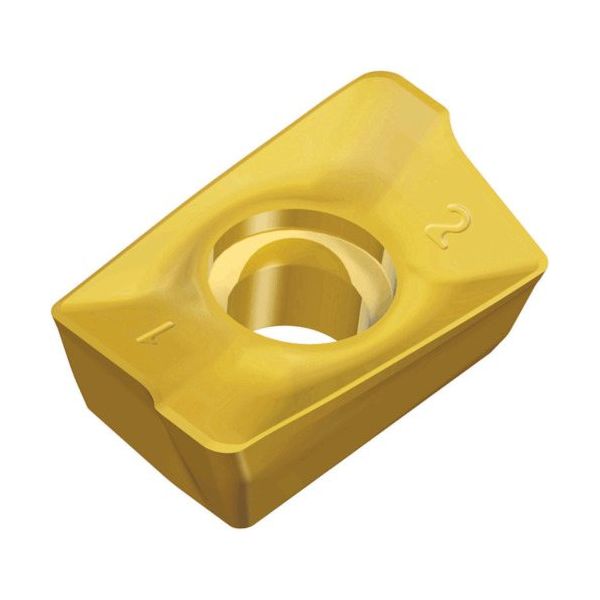 TAEGUTEC ミーリング加工用チップ チェイスミル APKT 120416R-EM TT9080 1セット(10個)（直送品）