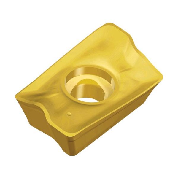 TAEGUTEC ミーリング加工用チップ チェイスミル APKT 170504R-EM TT2510 1セット(10個)（直送品）