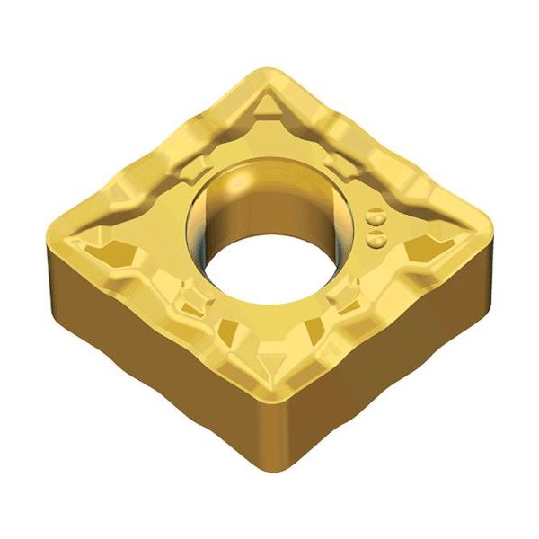 TAEGUTEC 旋削加工用チップ ライノターンECO CNMG 090412 FT TT5100 1セット(10個)（直送品）