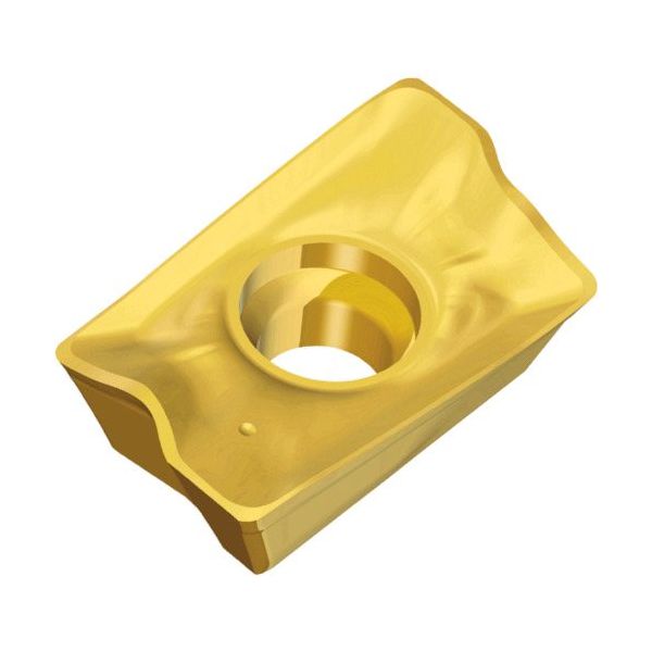 TAEGUTEC ミーリング加工用チップ チェイスミル APKT 170532R-M TT8020 1セット(10個)（直送品）