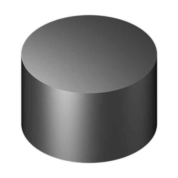 TAEGUTEC 旋削加工用チップ チェイスモールド セラミック RNGN 1207 FL-E TC3020 1セット(10個)（直送品）