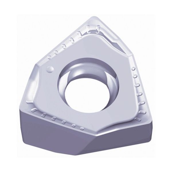 TAEGUTEC ミーリング加工用チップ ミル2ラッシュ 6NGU 060404R-AL K10 1セット(10個)（直送品）