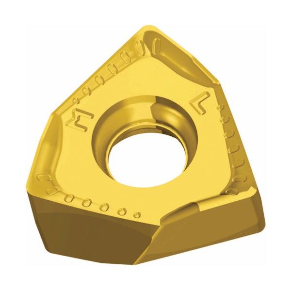 TAEGUTEC ミーリング加工用チップ ミル2ラッシュ 6NGU 060404R-ML TT9080 1セット(10個)（直送品）