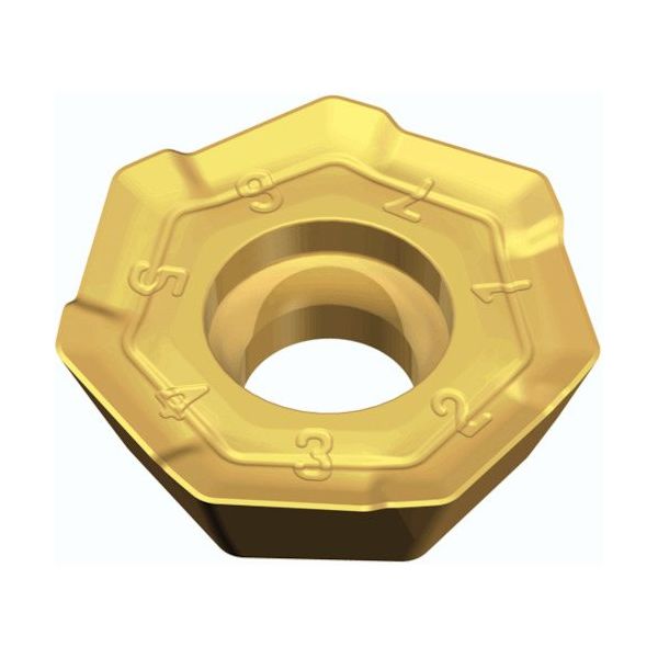 TAEGUTEC ミーリング加工用チップ チェイスヘプタ 7EMT 0604 AETR-M TT6080 1セット(10個)（直送品）