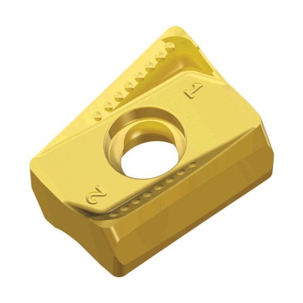 TAEGUTEC ミーリング加工用チップ チェイス2ミル ANHX 160708R-M TT8525B 1セット(10個)（直送品）