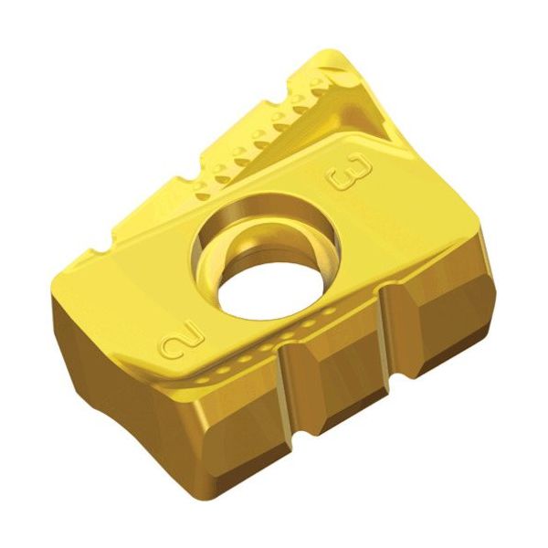 TAEGUTEC ミーリング加工用チップ チェイス2ミル ANHX 160708R-SM TT6080 1セット(10個)（直送品）