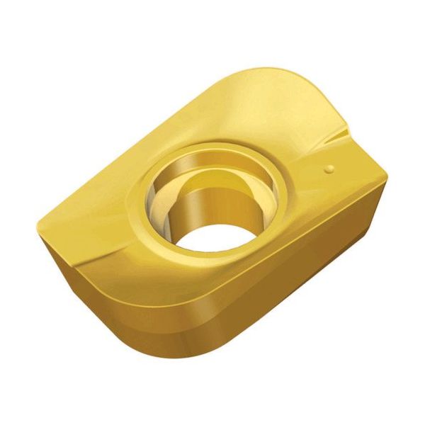 TAEGUTEC ミーリング加工用チップ チェイスミル APCT 120440R-ML TT8080 1セット(10個)（直送品）