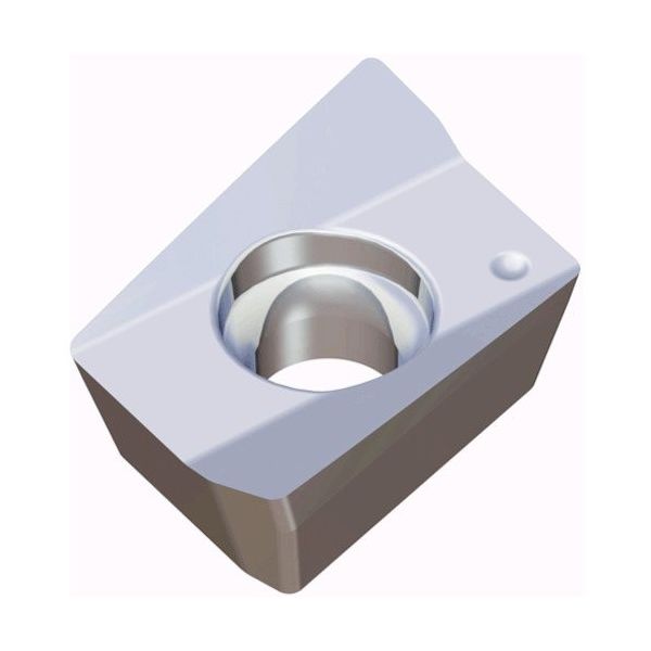 TAEGUTEC ミーリング加工用チップ チェイスミル AXCT 060204R-AL K10 1セット(10個)（直送品）