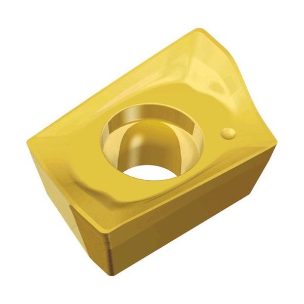 TAEGUTEC ミーリング加工用チップ チェイスミル AXMT 060204R-EM TT9030 1セット(10個)（直送品）