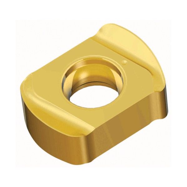 TAEGUTEC ミーリング加工用チップ チェイス4フィード BLMP 0603R-MM TT9080 1セット(10個)（直送品）