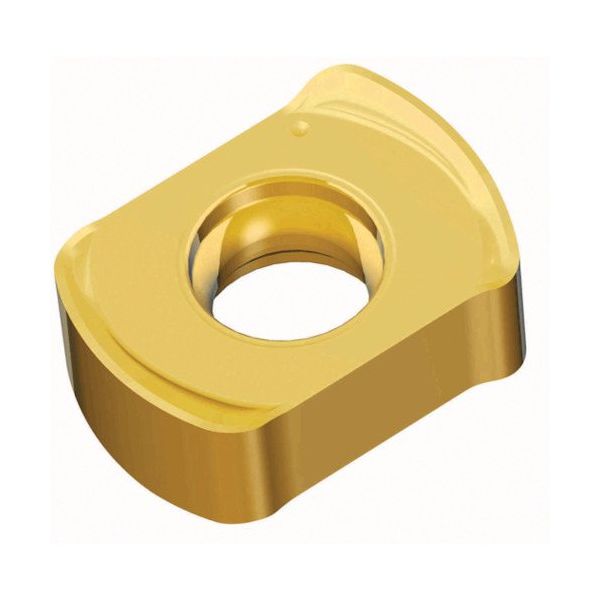 TAEGUTEC ミーリング加工用チップ チェイス4フィード BLMP 0904R-M TT8020 1セット(10個)（直送品）