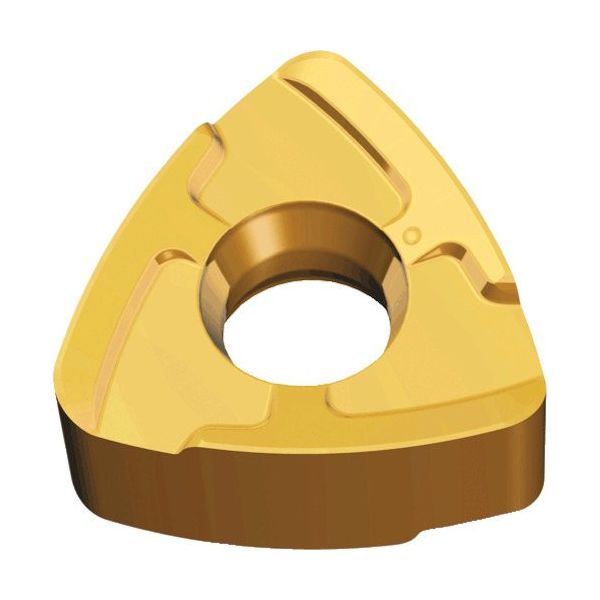 TAEGUTEC ミーリング加工用チップ チェイス2フィード BLMP 1306R-M TT6080 1セット(10個)（直送品）