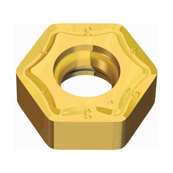 TAEGUTEC ミーリング加工用チップ ヘキサ2ミル HNCX 050410-L TT8080 1セット(10個)（直送品）