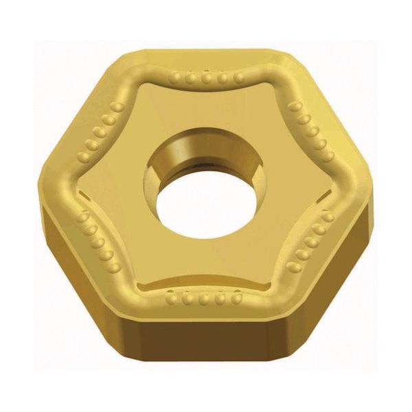 TAEGUTEC ミーリング加工用チップ ヘキサ2ミル HNHX 1006ANTN-MM TT6080 1セット(10個)（直送品）