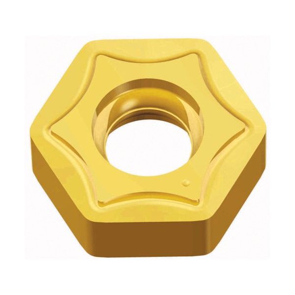 TAEGUTEC ミーリング加工用チップ ヘキサ2ミル HNMX 050410-MM TT2510 1セット(10個)（直送品）