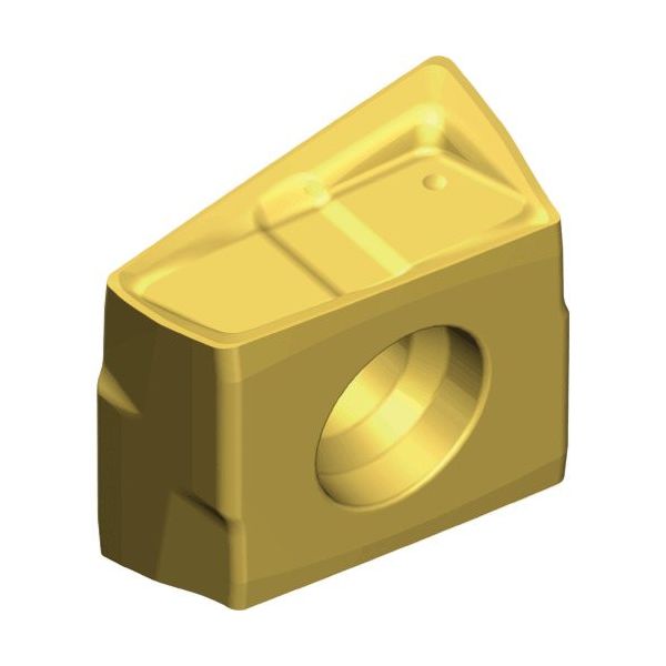 TAEGUTEC ミーリング加工用チップ タングスフィード LPKU 090404 PNR-M TT8080 1セット(10個)（直送品）