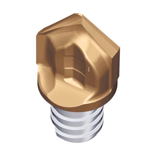 TAEGUTEC 交換式超硬ヘッド マキシラッシュ MXCP160L15A30-02S10 5523 1セット(2個)（直送品）