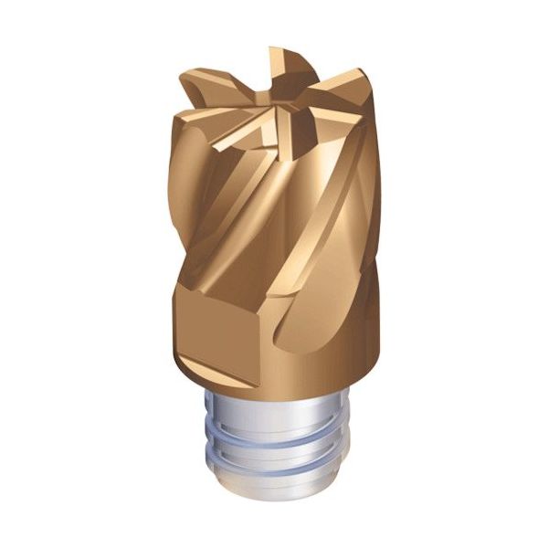 TAEGUTEC 交換式超硬ヘッド マキシラッシュ MXEE120L09R15-06S08 5523 1セット(2個)（直送品）