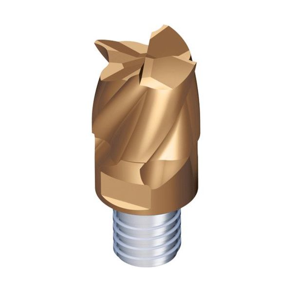 TAEGUTEC 交換式超硬ヘッド マキシラッシュ MXEE200L15C60I04S12 5523 1セット(2個)（直送品）