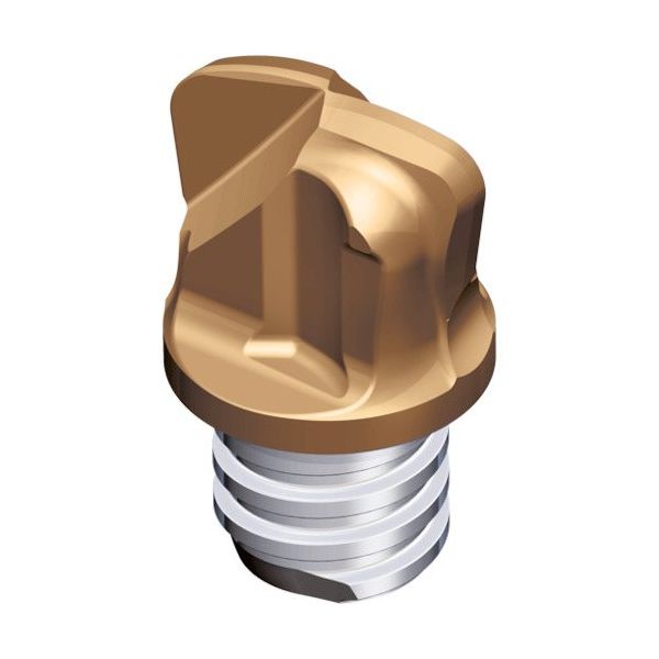 TAEGUTEC 交換式超硬ヘッド マキシラッシュ MXFX160L1.1R30-02S10 5523 1セット(2個)（直送品）