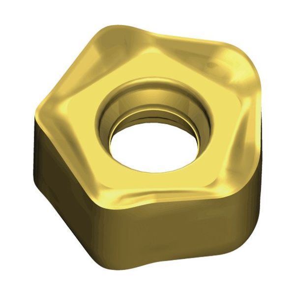 TAEGUTEC ミーリング加工用チップ チェイス10ミル PTKU 0503R-M TT9080 1セット(10個)（直送品）