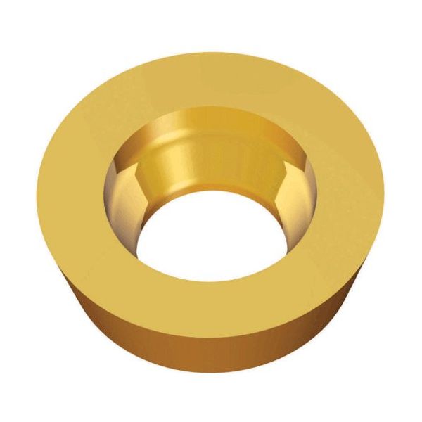 TAEGUTEC ミーリング加工用チップ チェイスモールド RDMX 0702-M TT6080 1セット(10個)（直送品）