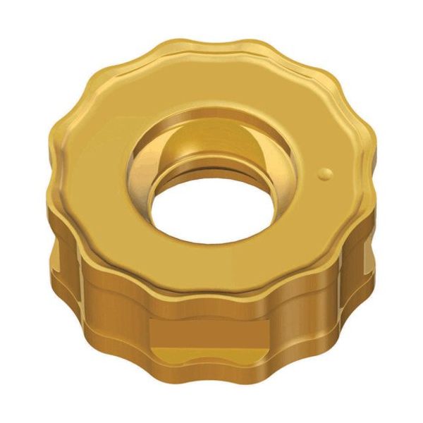 TAEGUTEC ミーリング加工用チップ チェイス2モールド RNMU 1004S-M TT8080 1セット(10個)（直送品）