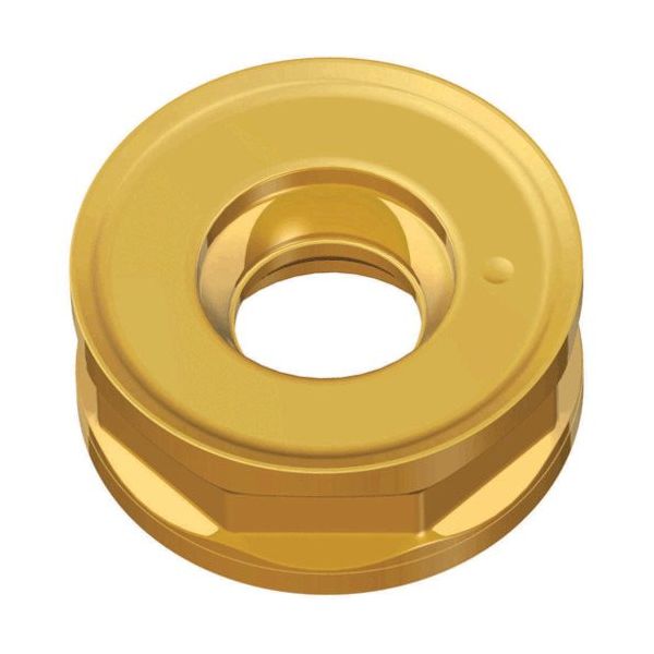 TAEGUTEC ミーリング加工用チップ チェイス2モールド RNMU 1606-ML TT2510 1セット(10個)（直送品）