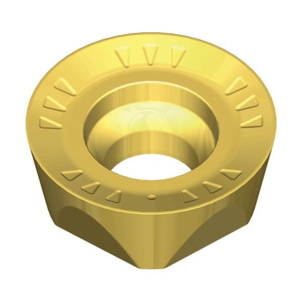 TAEGUTEC ミーリング加工用チップ チェイスモールド RTHX 1004-5MM TT8080 1セット(10個)（直送品）