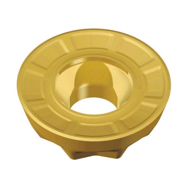 TAEGUTEC ミーリング加工用チップ チェイスモールド RXMX 1604-M TT6080 1セット(10個)（直送品）