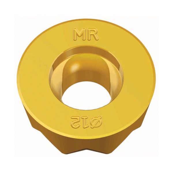 TAEGUTEC ミーリング加工用チップ チェイスモールド RYHX 1004-ML TT9080 1セット(10個)（直送品）