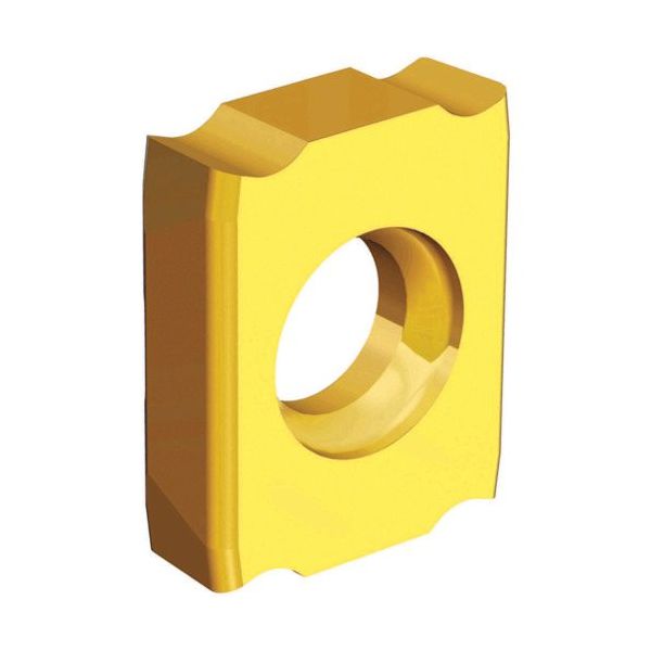 TAEGUTEC ミーリング加工用チップ トップスロット SLOT 033-04 TT9080 1セット(10個)（直送品）