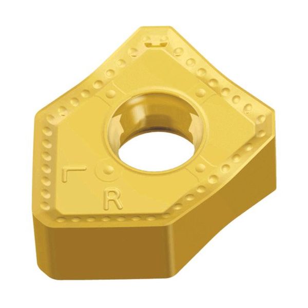 TAEGUTEC ミーリング加工用チップ チェイス2クアッド SNGX 1306 ANTN-W TT9080 1セット(10個)（直送品）