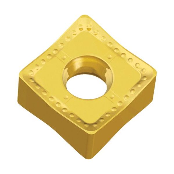 TAEGUTEC ミーリング加工用チップ チェイス2クアッド SNGX 1306 ZN-M TT7080 1セット(10個)（直送品）