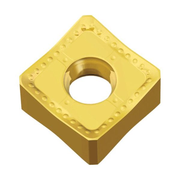 TAEGUTEC ミーリング加工用チップ チェイス2クアッド SNGX 130608-ML TT6080 1セット(10個)（直送品）