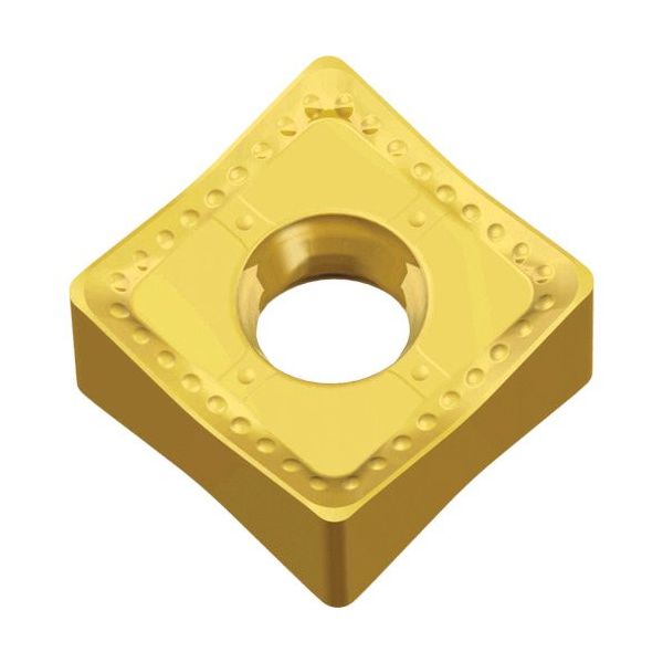 TAEGUTEC ミーリング加工用チップ チェイス2クアッド SNGX 130612-M TT7080 1セット(10個)（直送品）