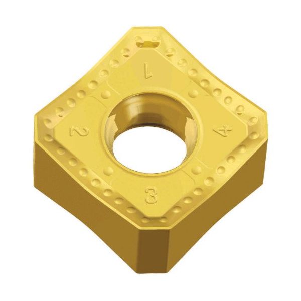 TAEGUTEC ミーリング加工用チップ チェイス2クアッド SNMX 1306 ANTN-M TT9080 1セット(10個)（直送品）