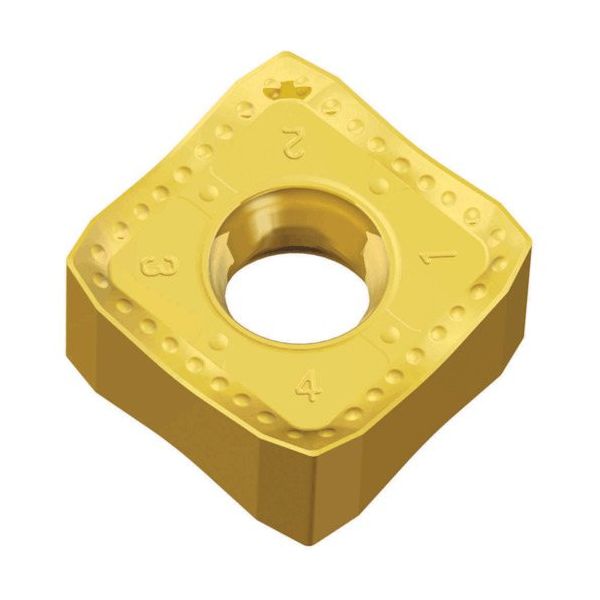 TAEGUTEC ミーリング加工用チップ チェイス2クアッド SNMX 1306 ENTN-M TT7515 1セット(10個)（直送品）