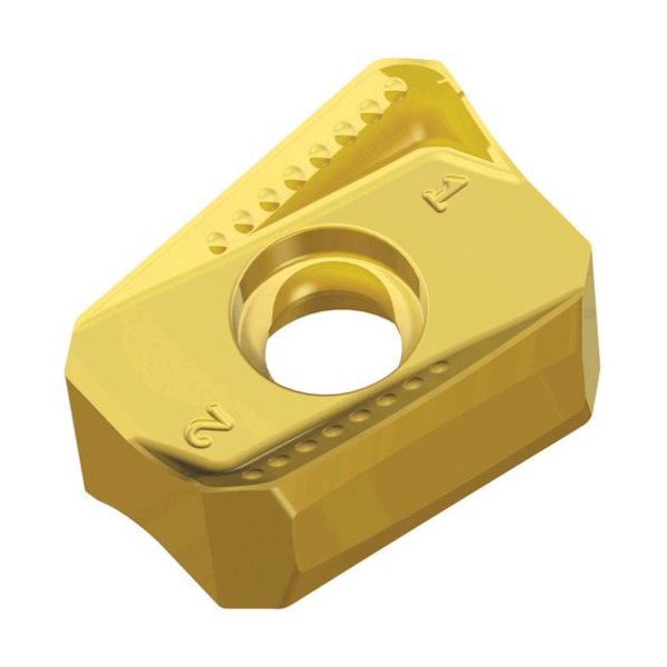 TAEGUTEC ミーリング加工用チップ チェイス2ミル ANHX 1607 ANR-M TT8525B 1セット(10個)（直送品）