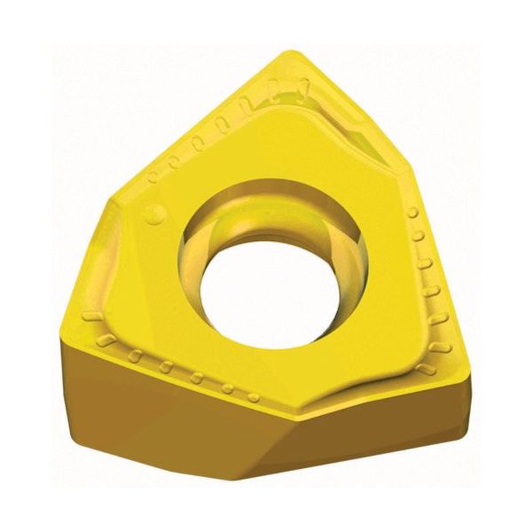 TAEGUTEC ミーリング加工用チップ ミル2ラッシュ 6NGU 090504R-M TT8080 1セット(10個)（直送品）