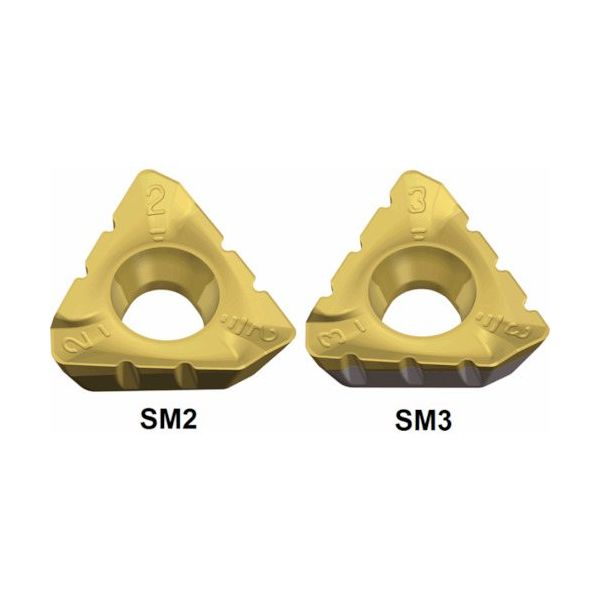 TAEGUTEC ミーリング加工用チップ ミルラッシュ 3PKT 190608R-SM2 TT8080 1セット(10個)（直送品）