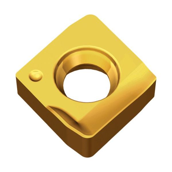 TAEGUTEC ミーリング加工用チップ チェイスPミル 2PKT 050308R-ML TT8080 1セット(10個)（直送品）